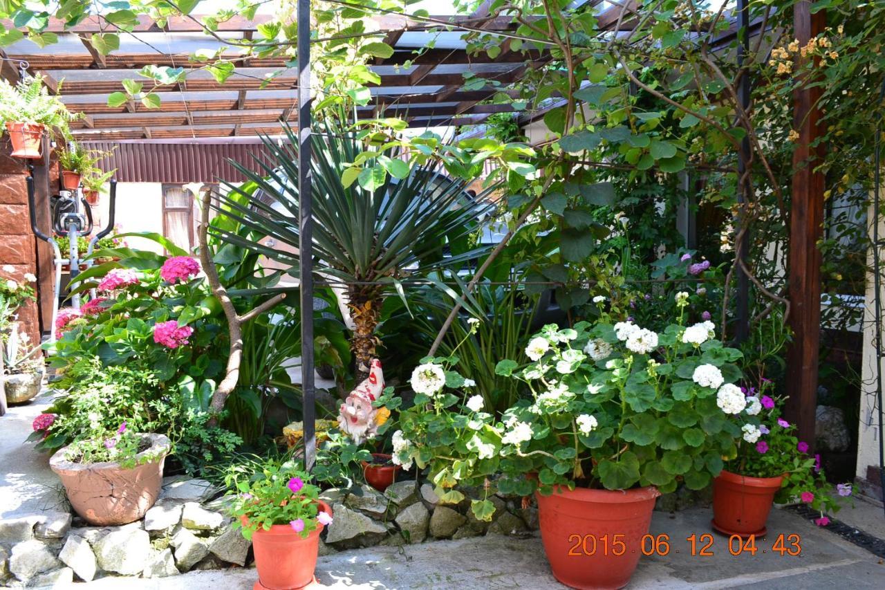 U Palycha Guest House Σουχούμι Εξωτερικό φωτογραφία