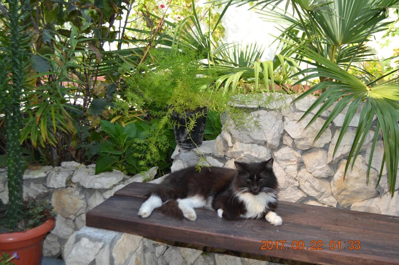 U Palycha Guest House Σουχούμι Εξωτερικό φωτογραφία